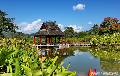 云南5a景区地图一览表,云南5a景区名单最新