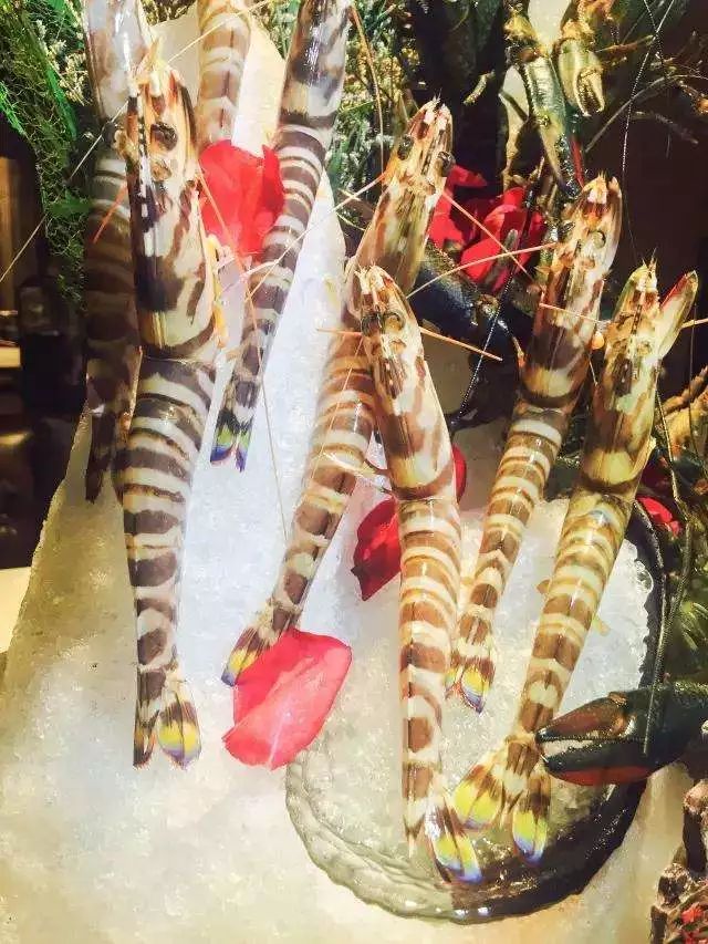 小悦鼎会海鲜自助,1大1小自助餐厦门