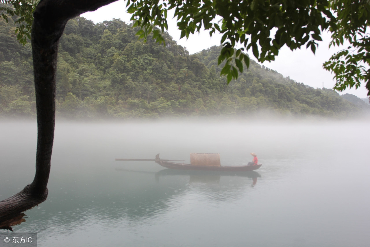 饮湖上初晴后雨二首其二,饮湖上初晴后雨二首其二讲解