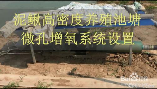 泥鳅池塘增氧设备,泥鳅养殖氧气机怎么用