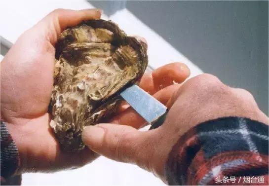 胶东四季的时令海鲜表,老渔民告诉你应季海鲜