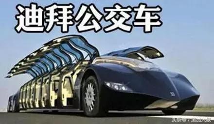 姑娘去迪拜捡垃圾结果,女子非要去迪拜捡垃圾