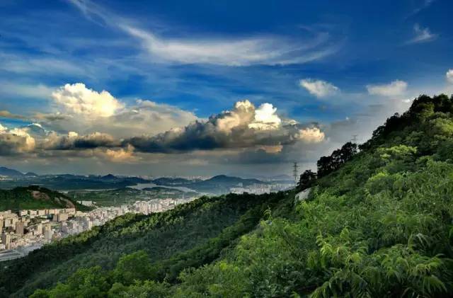 深圳春游十大好去处要门票,深圳春游亲子最佳去处