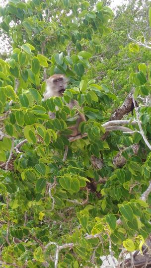 泰国5天丽贝岛,去泰国马尔代夫旅游攻略