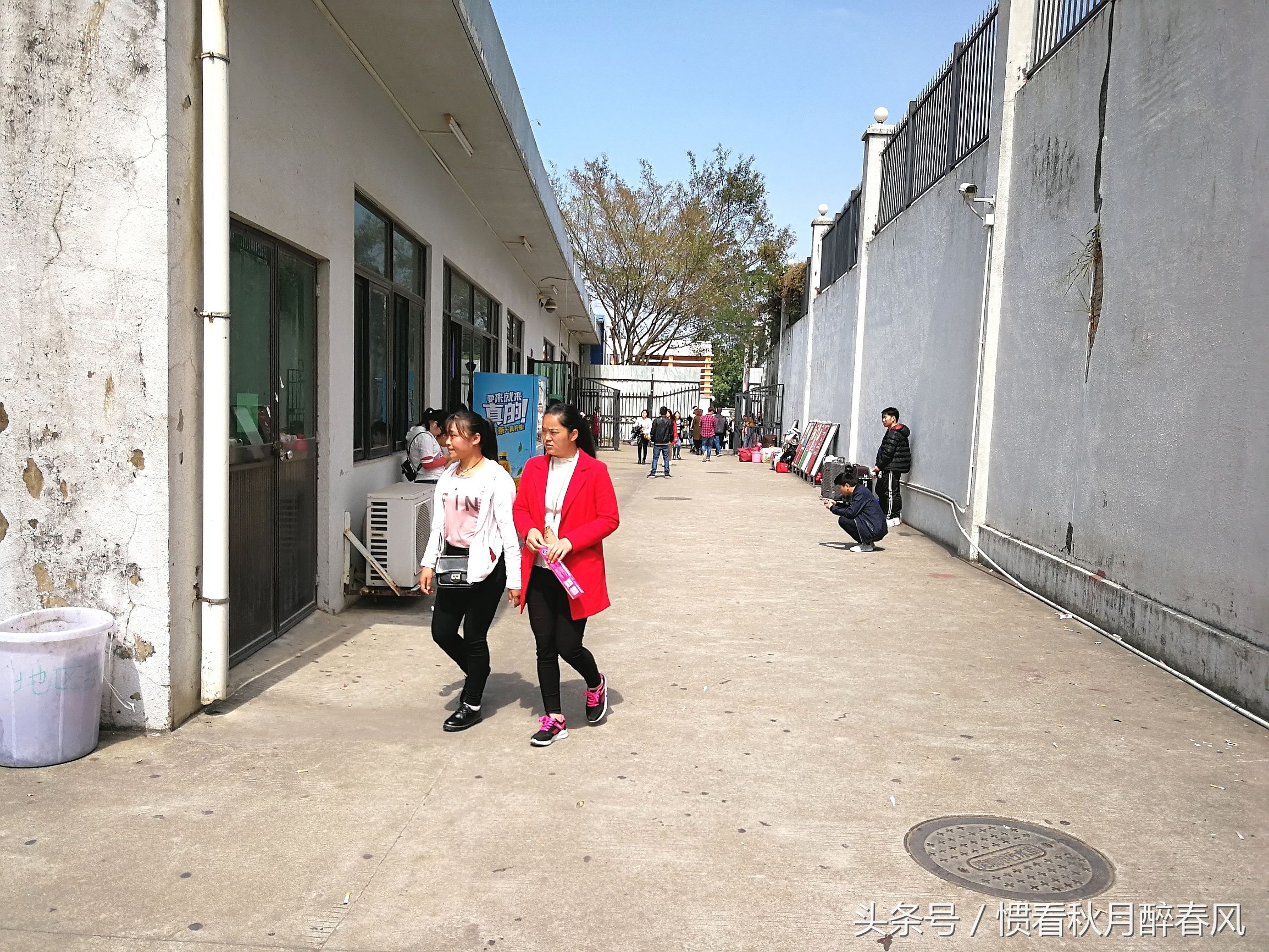 宝龙比亚迪招聘直招,宝龙比亚迪最新招工信息