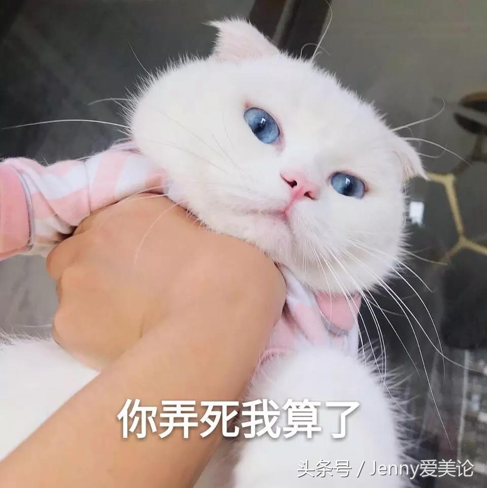 macdior阿玛尼香奈儿,macdior