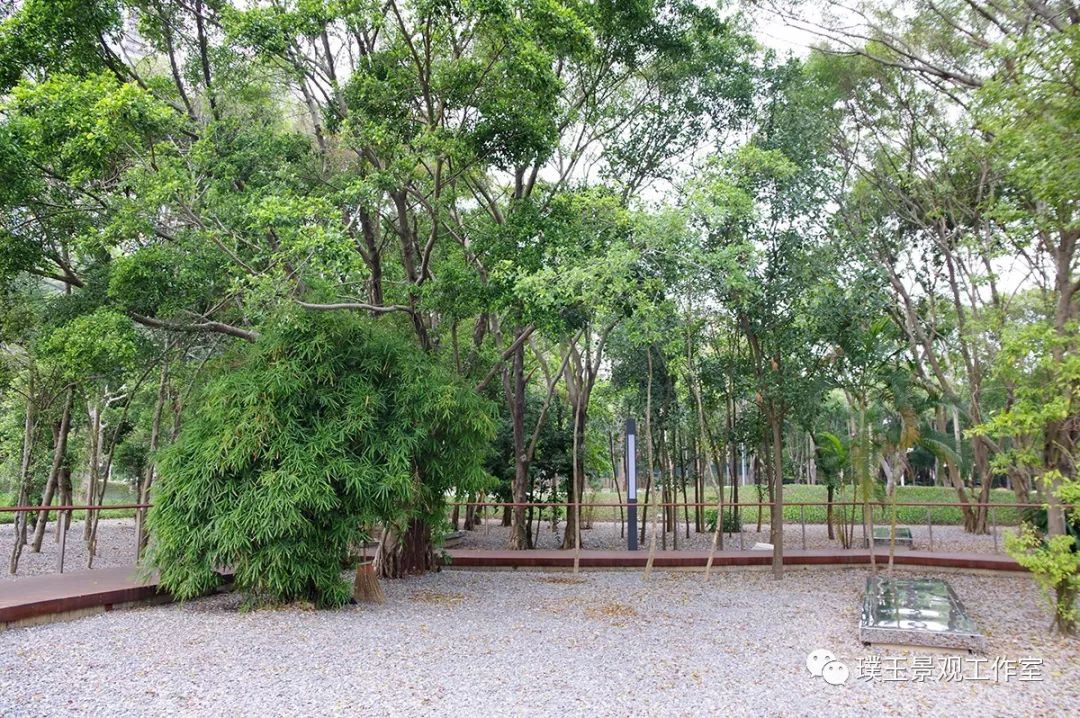 深圳香蜜公园航拍视频,香蜜湖香蜜公园