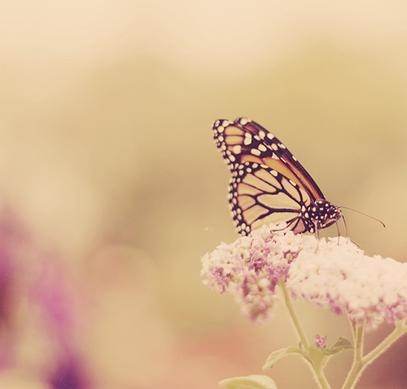 调色万能公式ps,PS基础调色教程