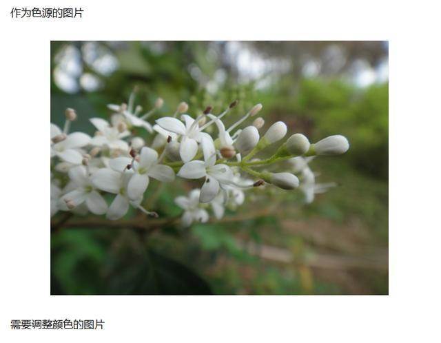 调色万能公式ps,PS基础调色教程