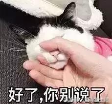 威海新房房价下跌了吗,2019威海小区房价