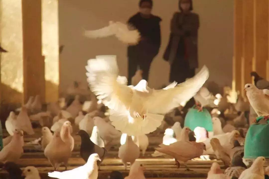 绝不能错过的艺术展,不可错过的艺术展