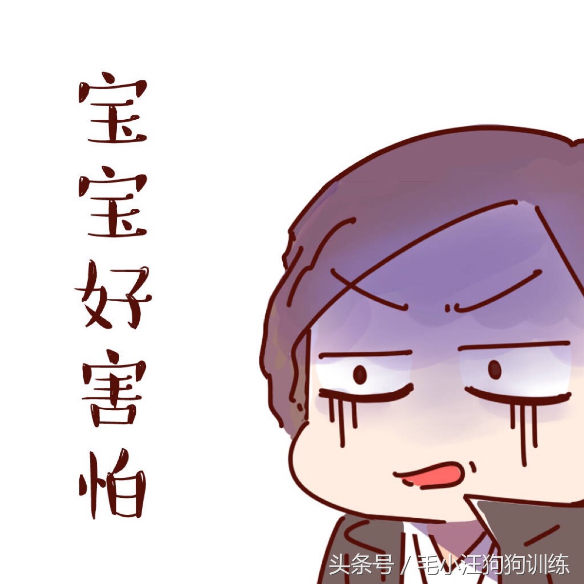 狗狗贪吃怎么训练,金毛狗狗挑食怎么办