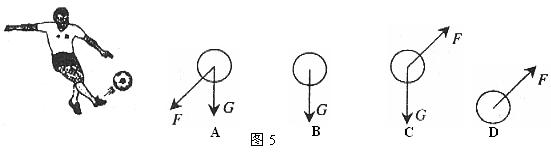 八年级下册物理重力,八年级下册物理重力教案