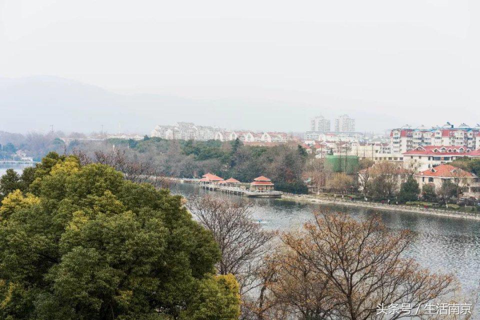 苜蓿园南京,南京苜蓿园佰人王店营业到几点