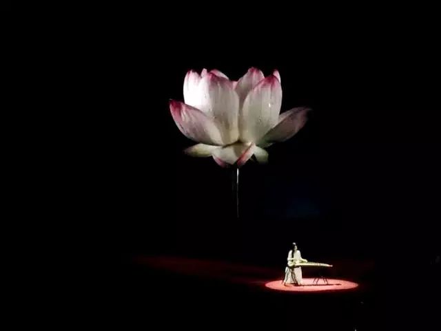 古筝袁莎老师的十大技法精讲,古筝每日必练袁莎老师