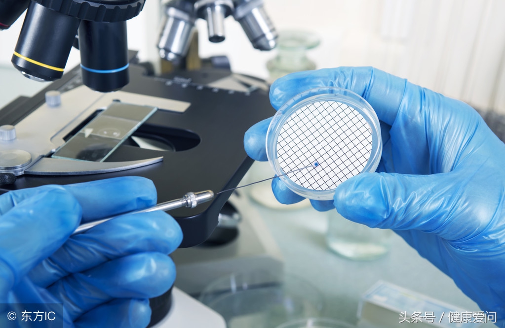 得了大肠杆菌肚子疼,大肠杆菌超标引起肚子痛怎么办