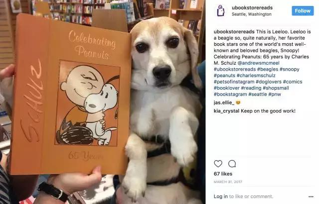 西雅图购物攻略,美国西雅图购物攻略