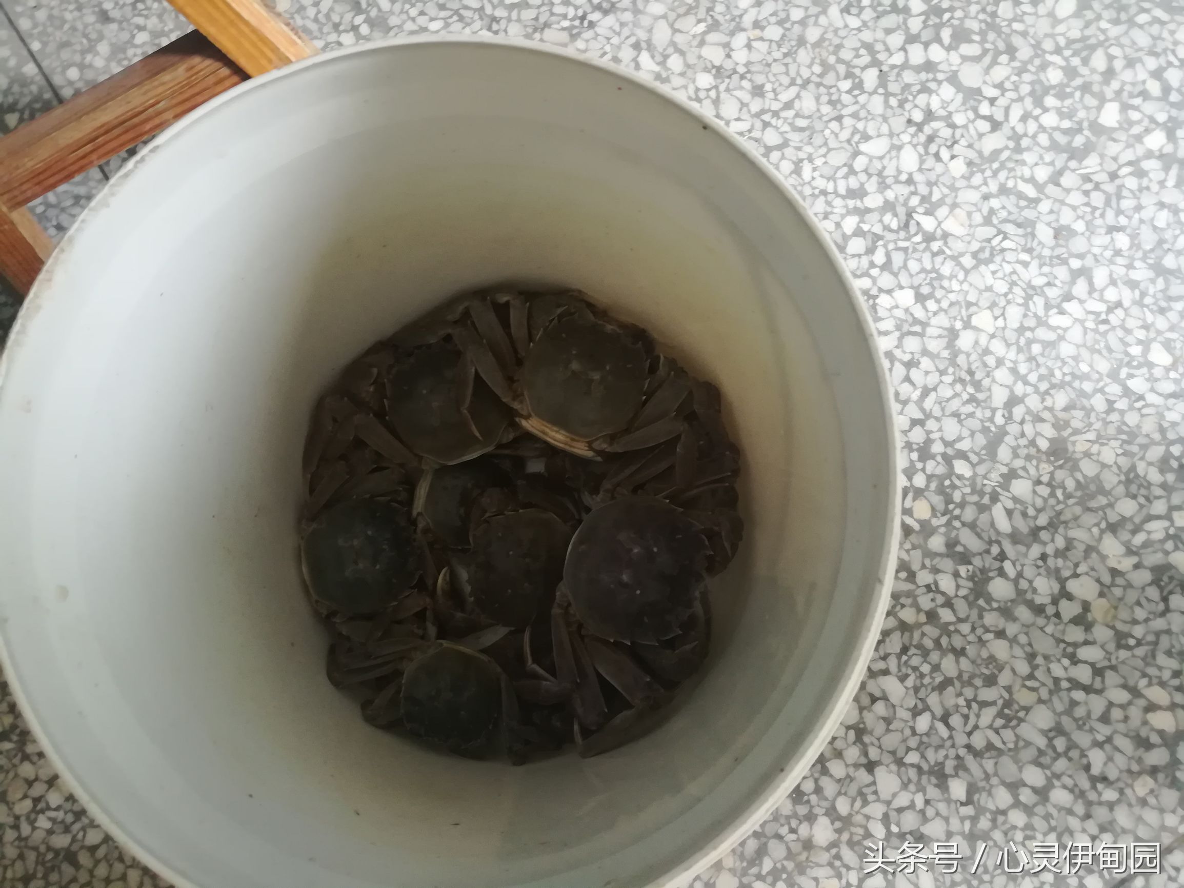 中华麋鹿园,中华麋鹿基地