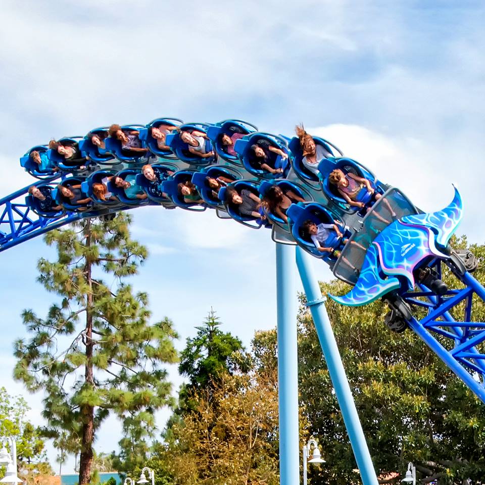 春天没能一起放风筝夏天一起看海,春天去不去旅游