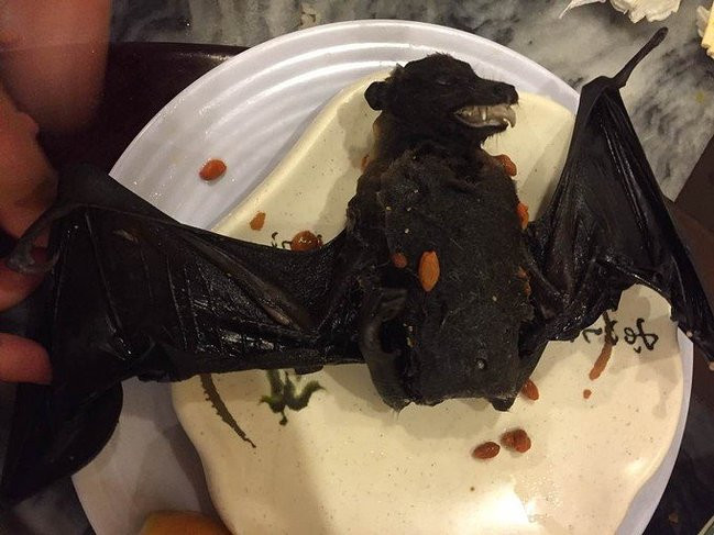 帕劳攻略详细讲解,帕劳旅游攻略