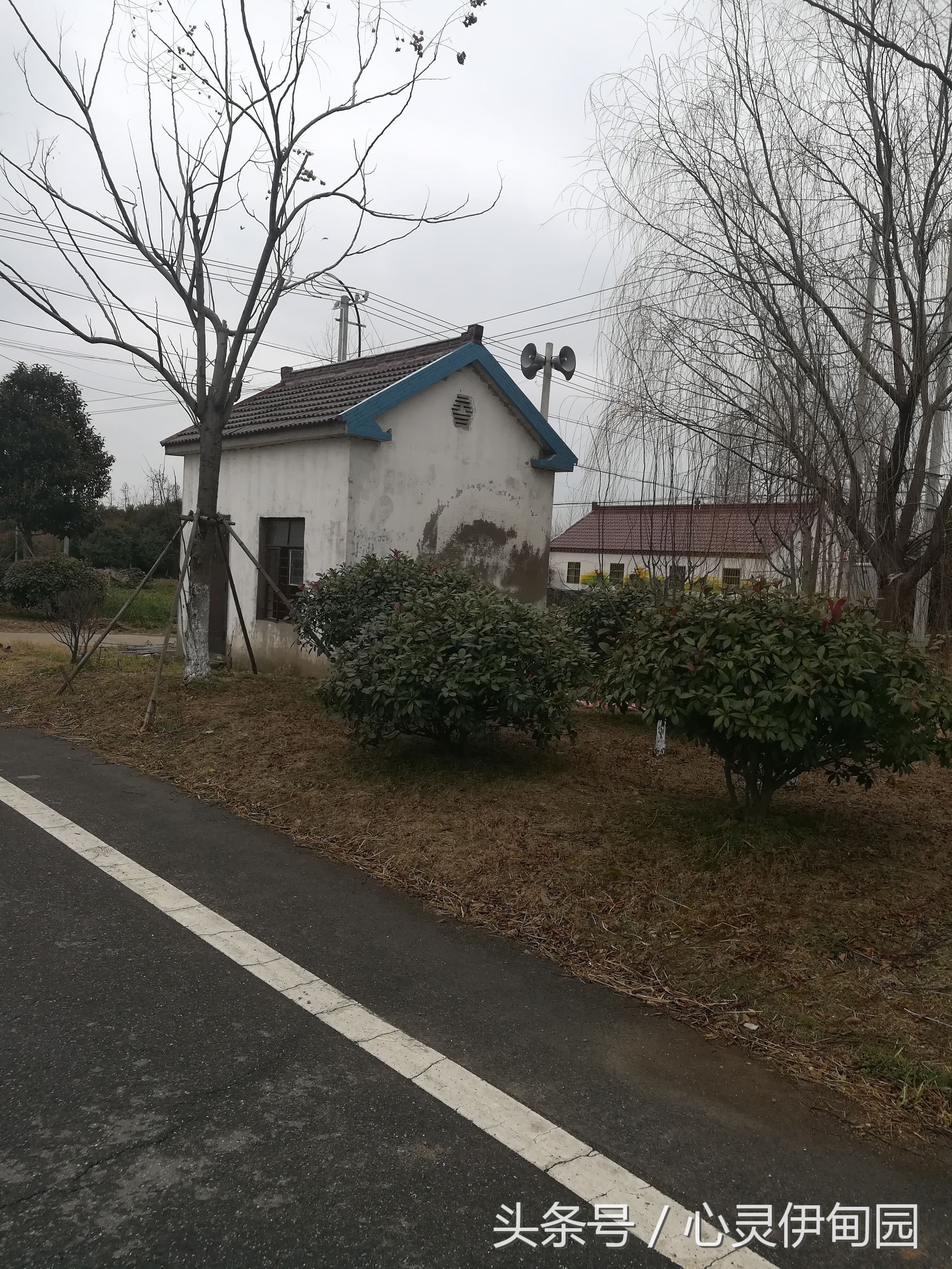 中华麋鹿园,中华麋鹿基地