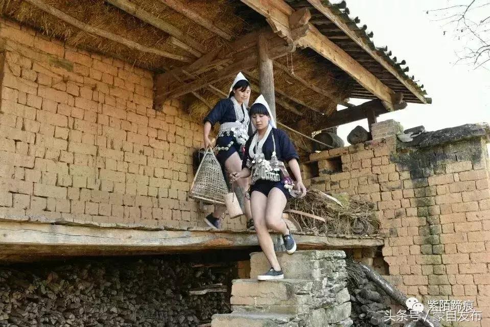 美丽的樱花谷美景,樱花谷美丽的好地方