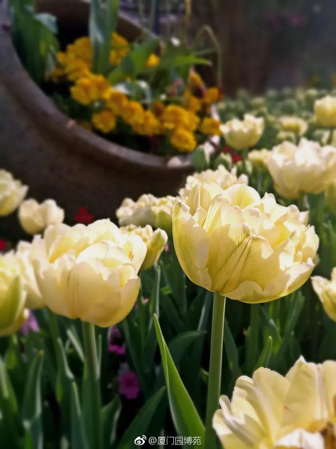 厦门大降温最新消息,厦门升温时间表