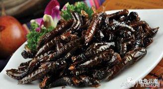 云南三只蚂蚁一道菜,云南三个蚊子一盘菜