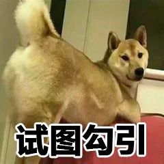 怎么跟喜欢的人表白表情包,表白撩人表情包合集确认过眼神