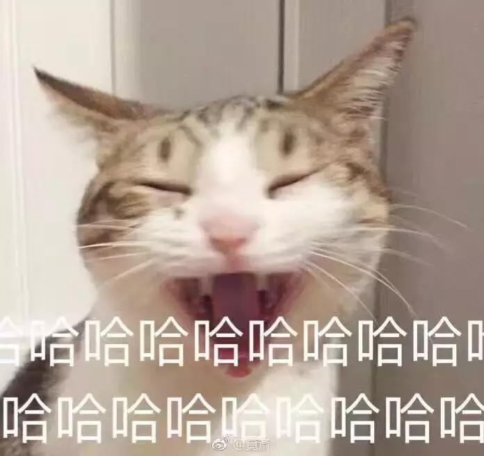 一样只卖几十块钱？原来资深堂还隐藏了这么多好用的开架品牌!