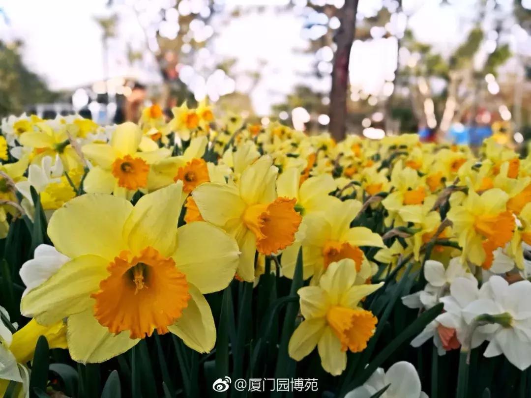 厦门大降温最新消息,厦门升温时间表