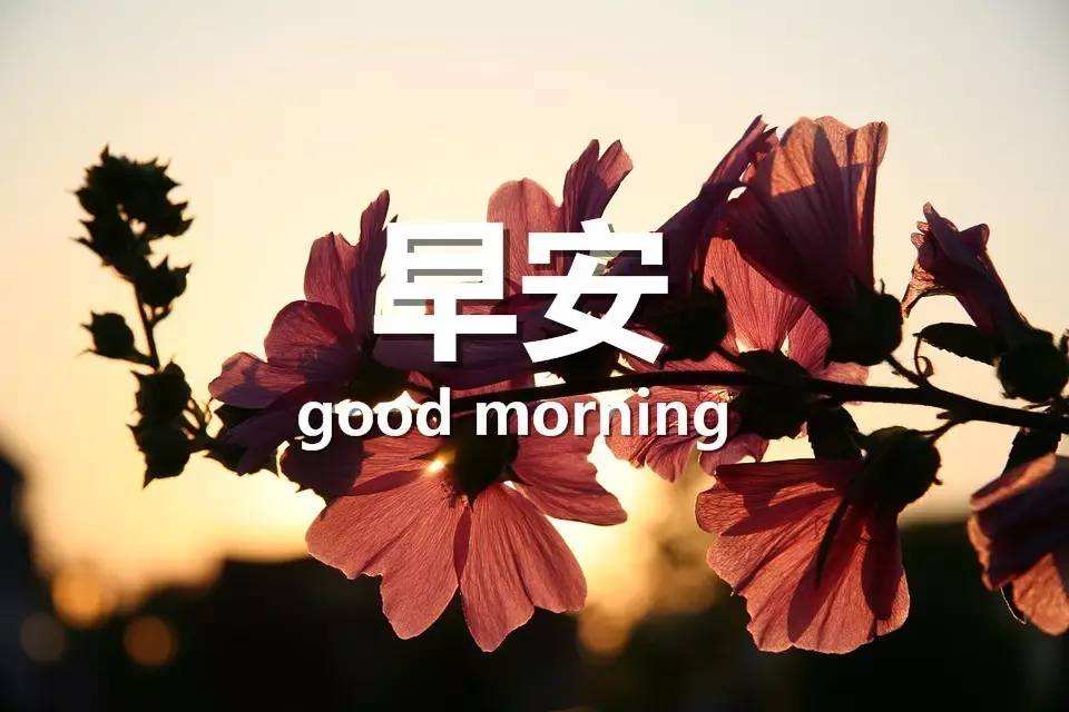 如果早晨上班路上碰到让你头疼的人,你该怎么面对?有方法啦!