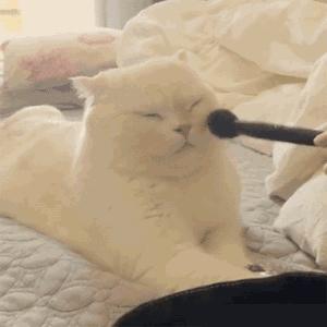 晚安粉什么肤质能用,晚安粉有美白效果吗