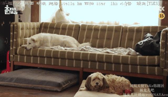 真正的孝利家民宿,慢节奏治愈风民宿