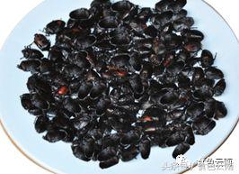 云南三只蚂蚁一道菜,云南三个蚊子一盘菜