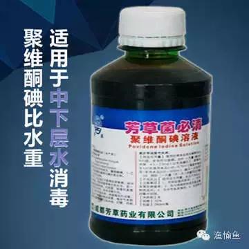 鱼类烂鳃病症状,鱼类烂鳃病致病机理