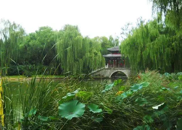 北京各区16处免费森林公园,北京最新40个公园