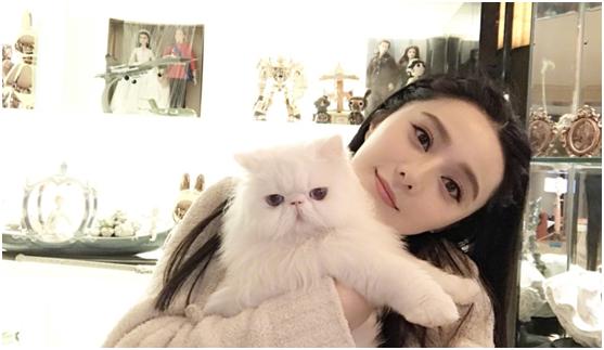 范冰冰创立品牌,范冰冰自创美妆品牌