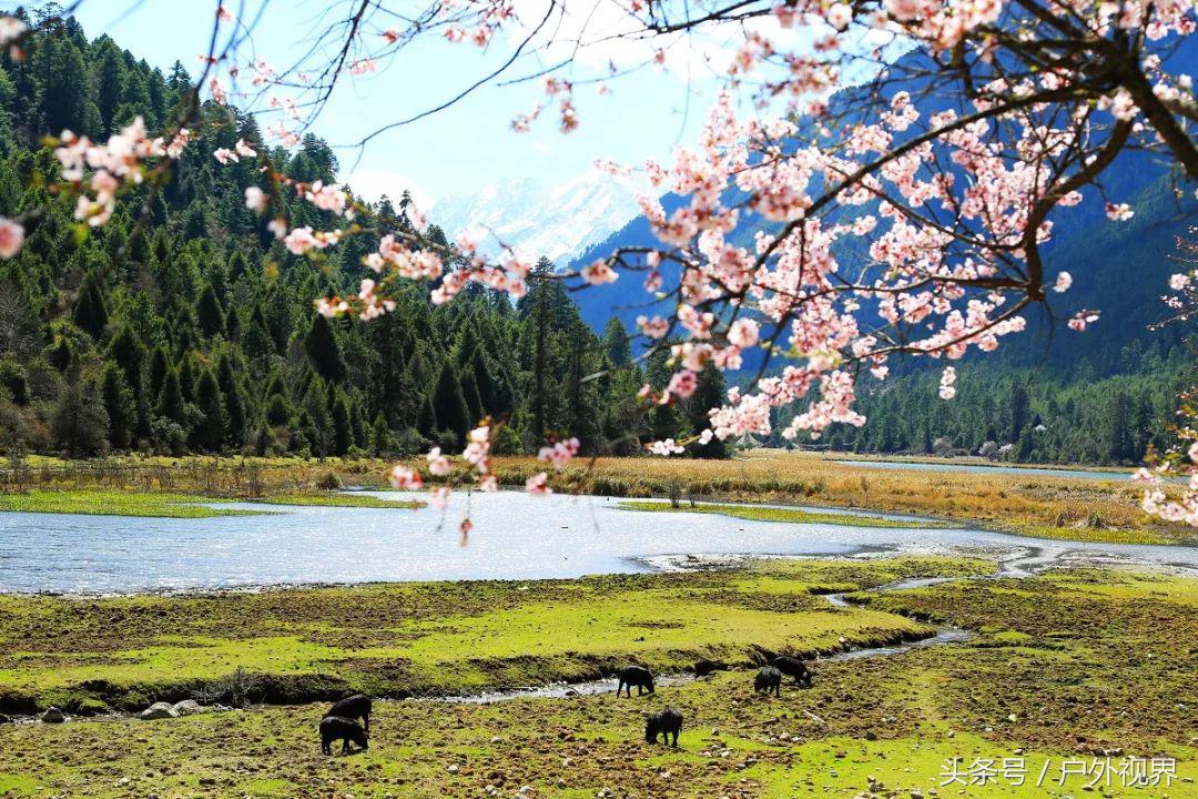 中国3月适合自驾的地方,自驾藏南旅游攻略