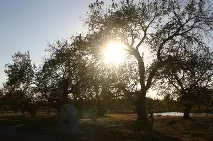 北京各区16处免费森林公园,北京最新40个公园