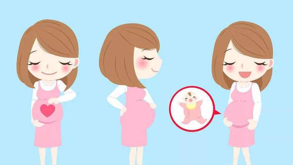 孕期可用娇韵诗哪个系列,fancl和娇韵诗哪个更适合孕期用