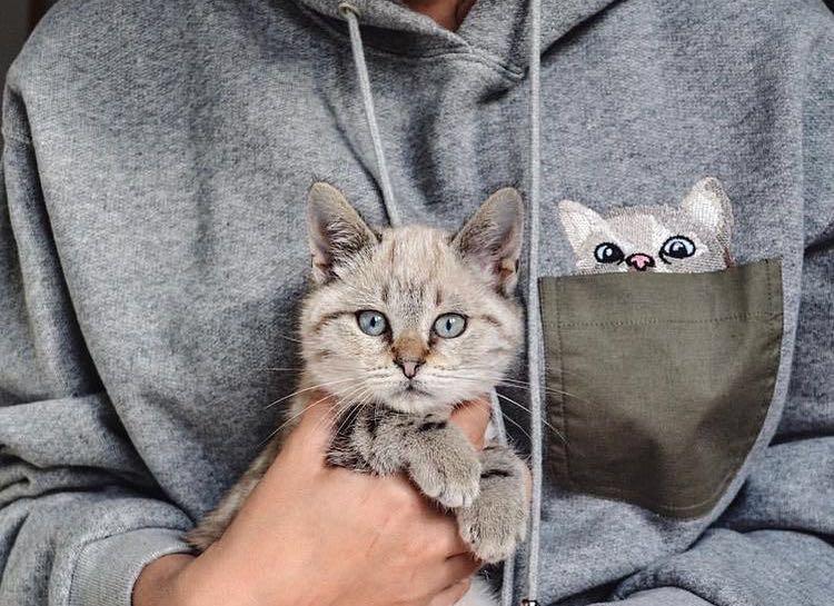 pauljoesister,pauljoe鐚挭