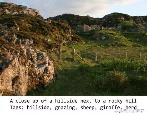 绁炵粡缃戠粶浼氬嚭閿欏悧,绁炵粡浜轰細姊﹀埌鐢靛瓙缇婂悧