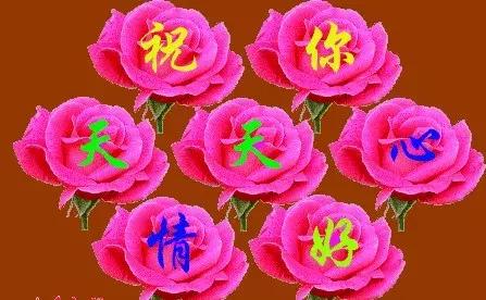 11月4,有群的都看看,太美了,这一辈子见一次值了!