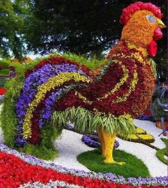 11月4,有群的都看看,太美了,这一辈子见一次值了!