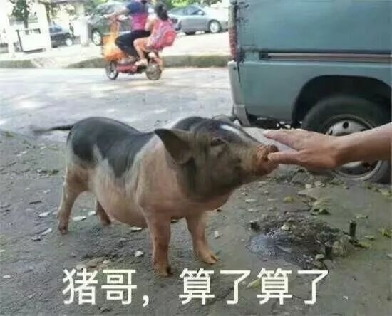 哈尔滨碳烤冷面,哈尔滨半夜的烤冷面