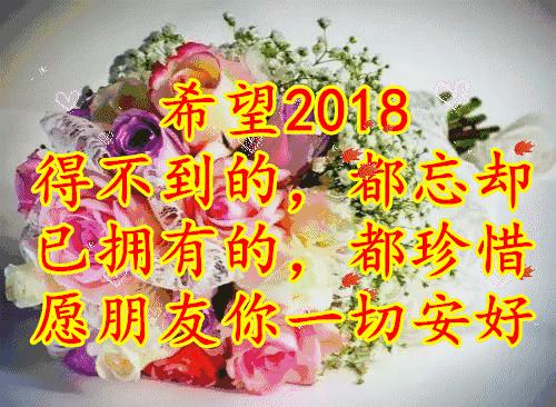 11月4，有群的都看看，太美了，这一辈子见一次值了！