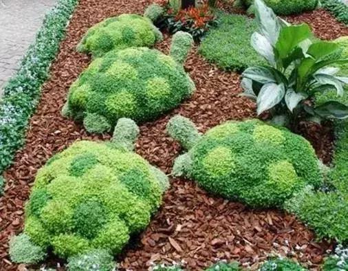 11月4,有群的都看看,太美了,这一辈子见一次值了!