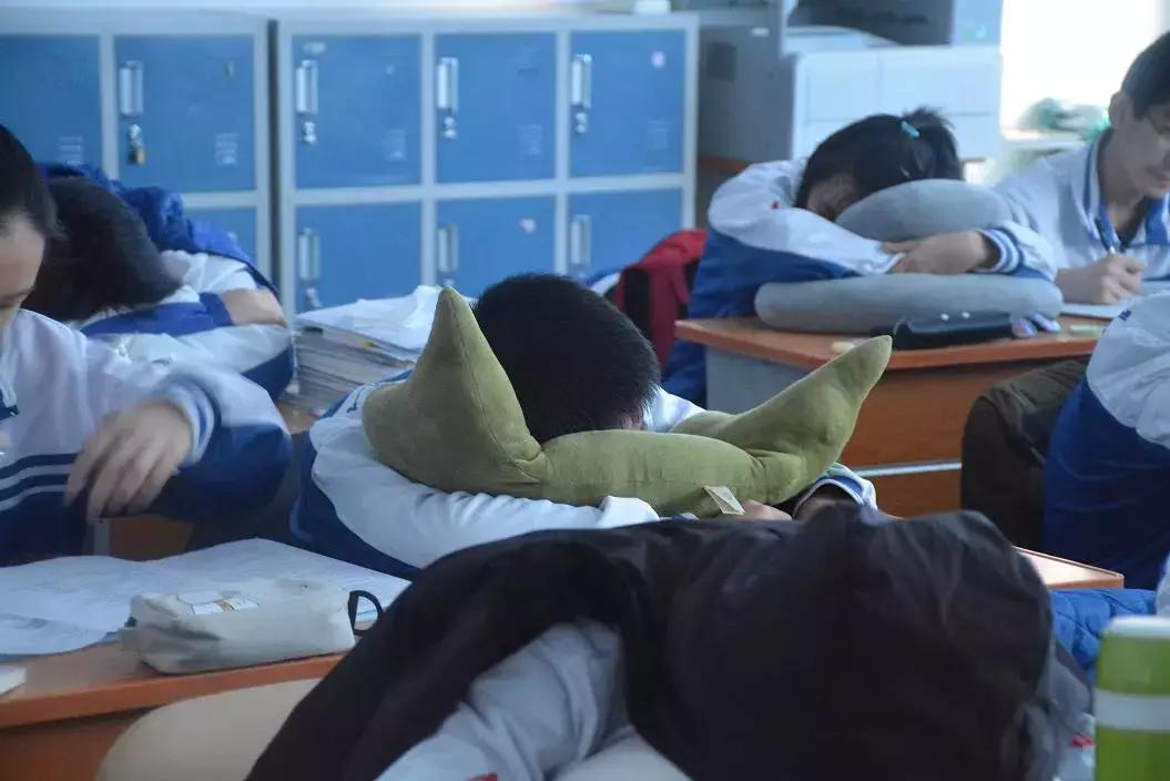 十一高今年高考咋样,十一高上学