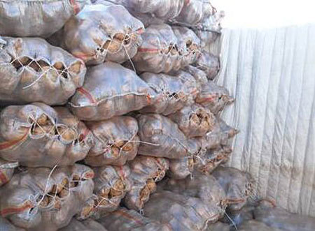 种植大户一亩田收入,种植一亩地收入45万元